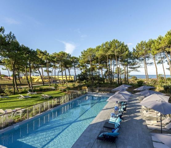 Une piscine moderne bordée de pins avec vue sur l’océan, offrant un cadre paisible et lumineux.