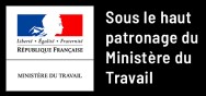 logo ministère du travail